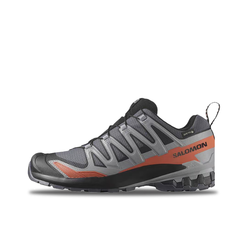 Salomon XA Pro 3D V9 GTX: Têni - Salomon Shoes Xa Pro 3D avaliação e preço